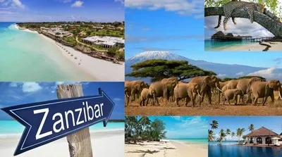 Egzotik Zanzibar adasında transferler